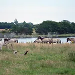 Lange Erdgeschoss Maasholm-Bad