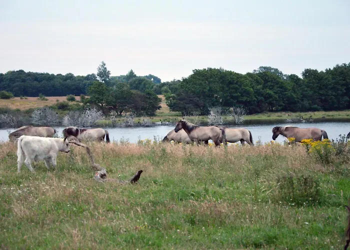 Lange Erdgeschoss Maasholm-Bad